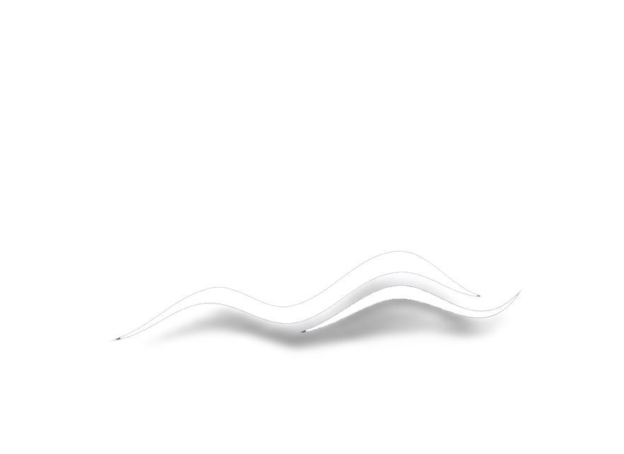 MPSS Weiß MPSS SAS Shop